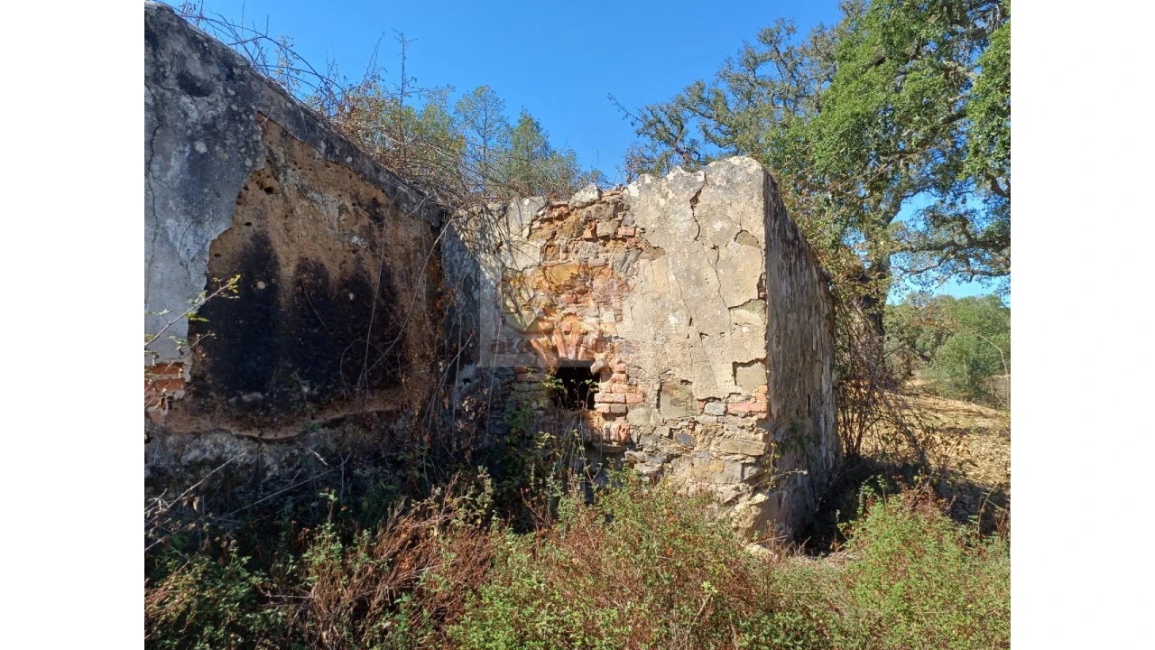 Terreno Misto para Venda em Grândola e Santa Margarida da Serra Foto 3