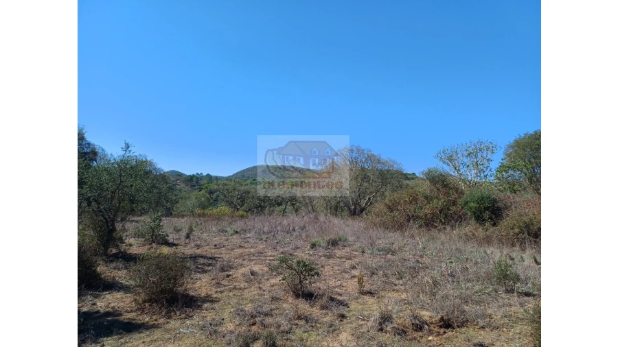 Terreno Misto para Venda em Grândola e Santa Margarida da Serra Foto 6
