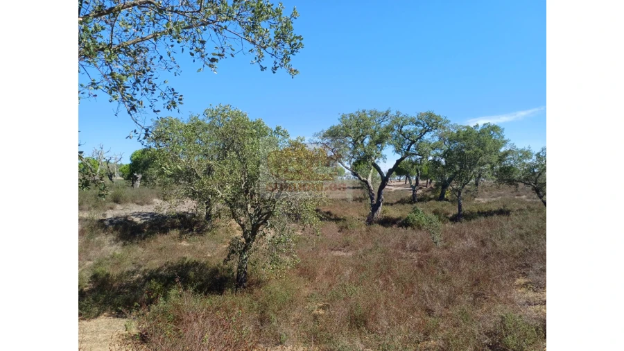 Terreno Misto para Venda em Grândola e Santa Margarida da Serra Foto 8