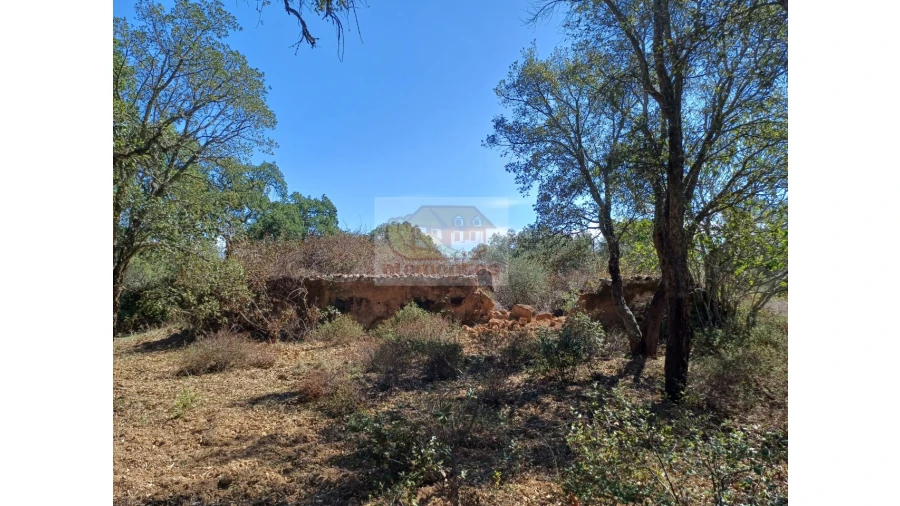 Terreno Misto para Venda em Grândola e Santa Margarida da Serra