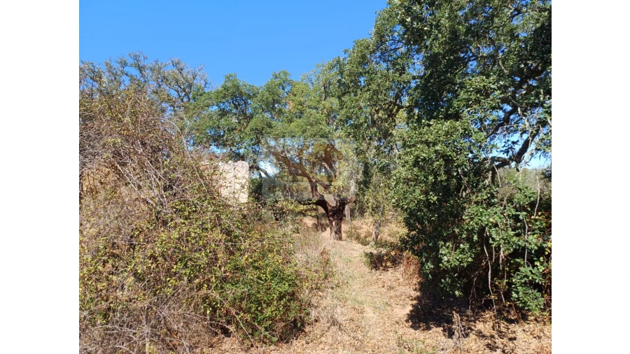 Terreno Misto para Venda em Grândola e Santa Margarida da Serra Foto 10