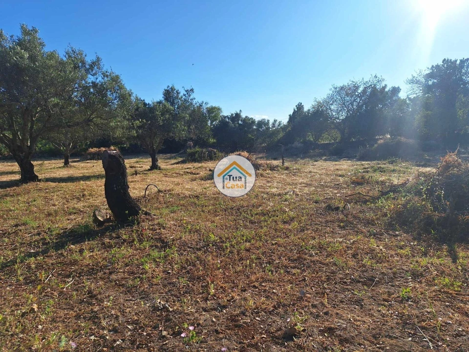 Terreno para Venda em Loule (São Clemente) Foto 8