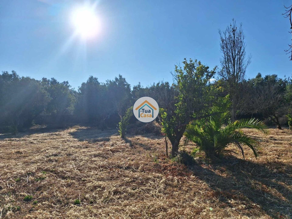 Terreno para Venda em Loule (São Clemente) Foto 4