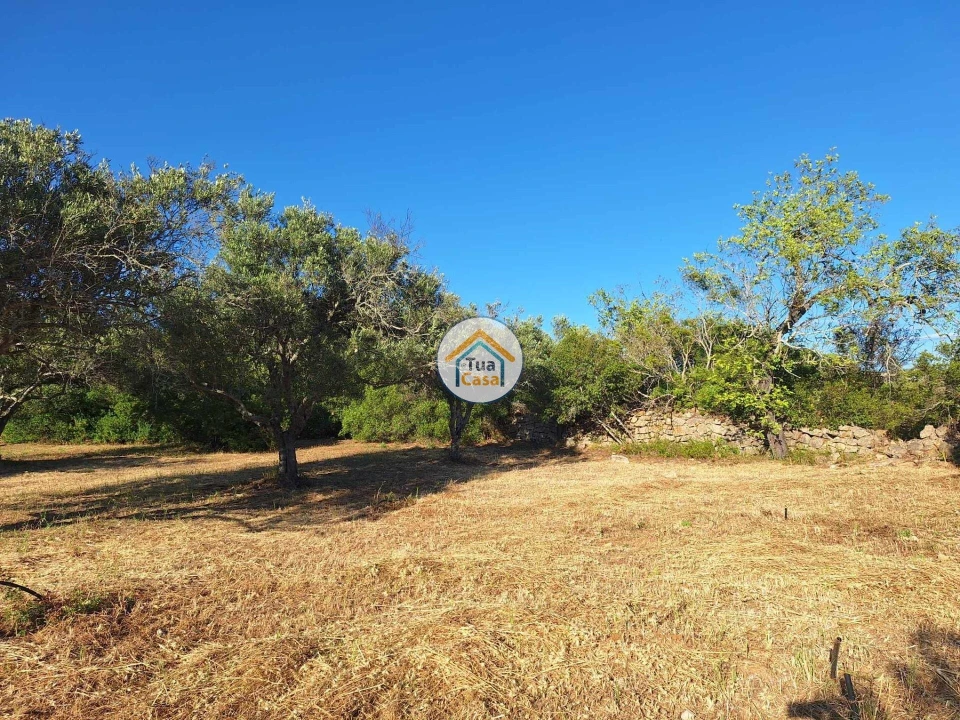 Terreno para Venda em Loule (São Clemente) Foto 11