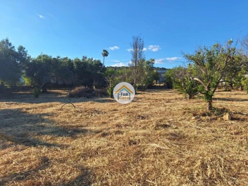 Terreno para Venda em Loule (São Clemente)