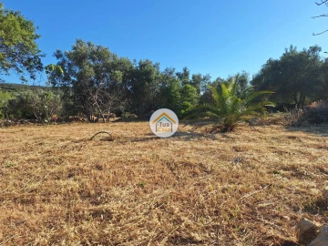 Terreno para Venda em Loule (São Clemente)