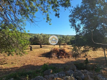 Terreno para Venda em Loule (São Clemente)