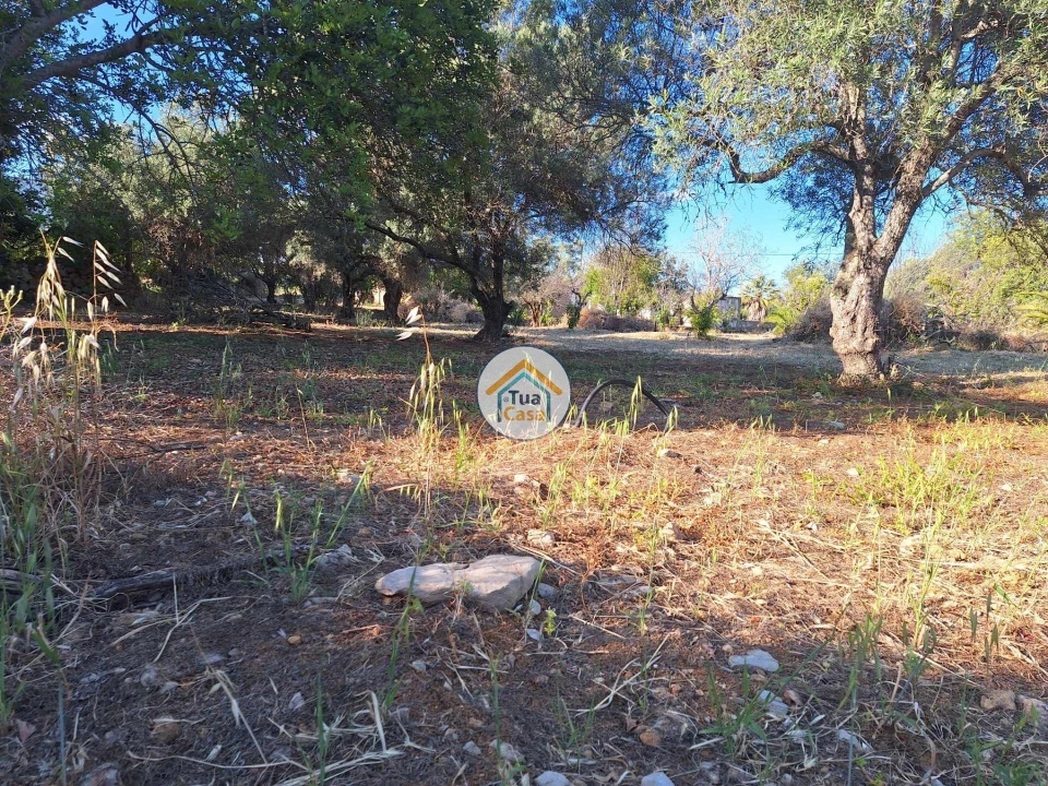 Terreno para Venda em Loule (São Clemente) Foto 7