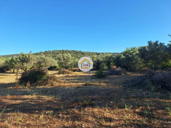 Terreno para Venda em Loule (São Clemente) Foto 3