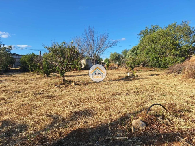 Terreno para Venda em Loule (São Clemente) Foto 16