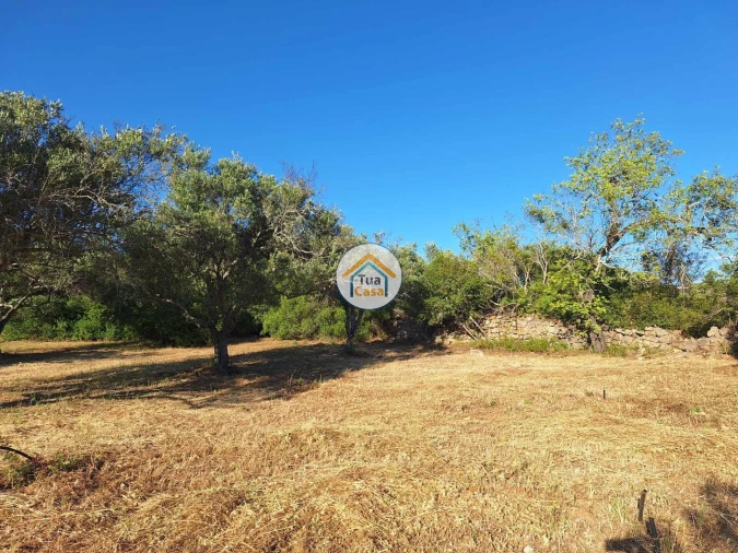Terreno para Venda em Loule (São Clemente) Foto 11