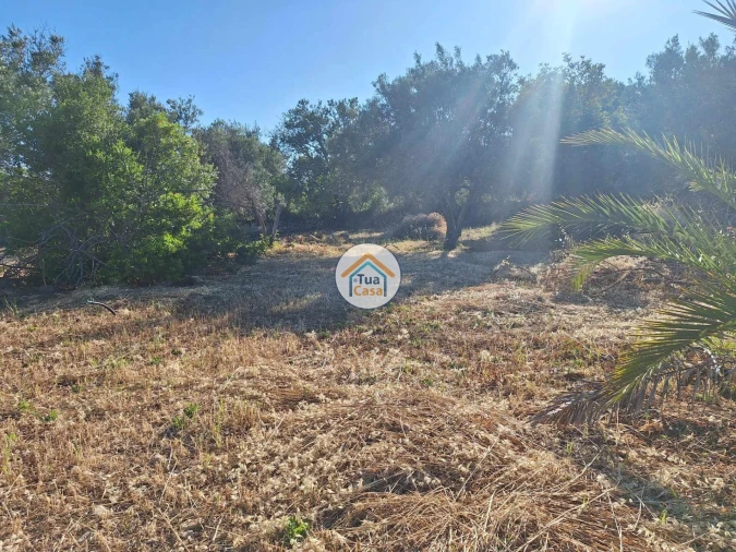 Terreno para Venda em Loule (São Clemente) Foto 18
