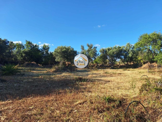 Terreno para Venda em Loule (São Clemente) Foto 13