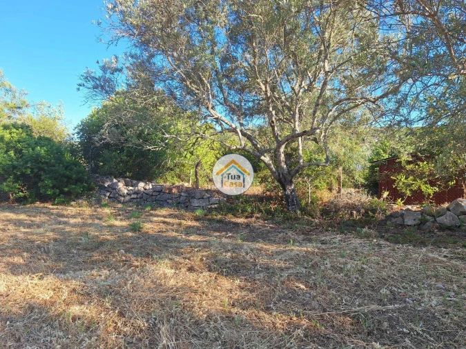 Terreno para Venda em Loule (São Clemente) Foto 15