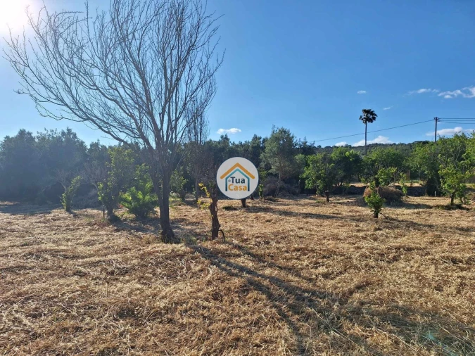 Terreno para Venda em Loule (São Clemente) Foto 6