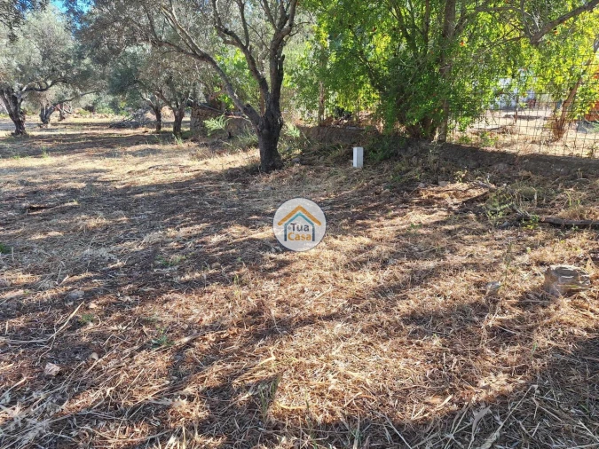 Terreno para Venda em Loule (São Clemente) Foto 9