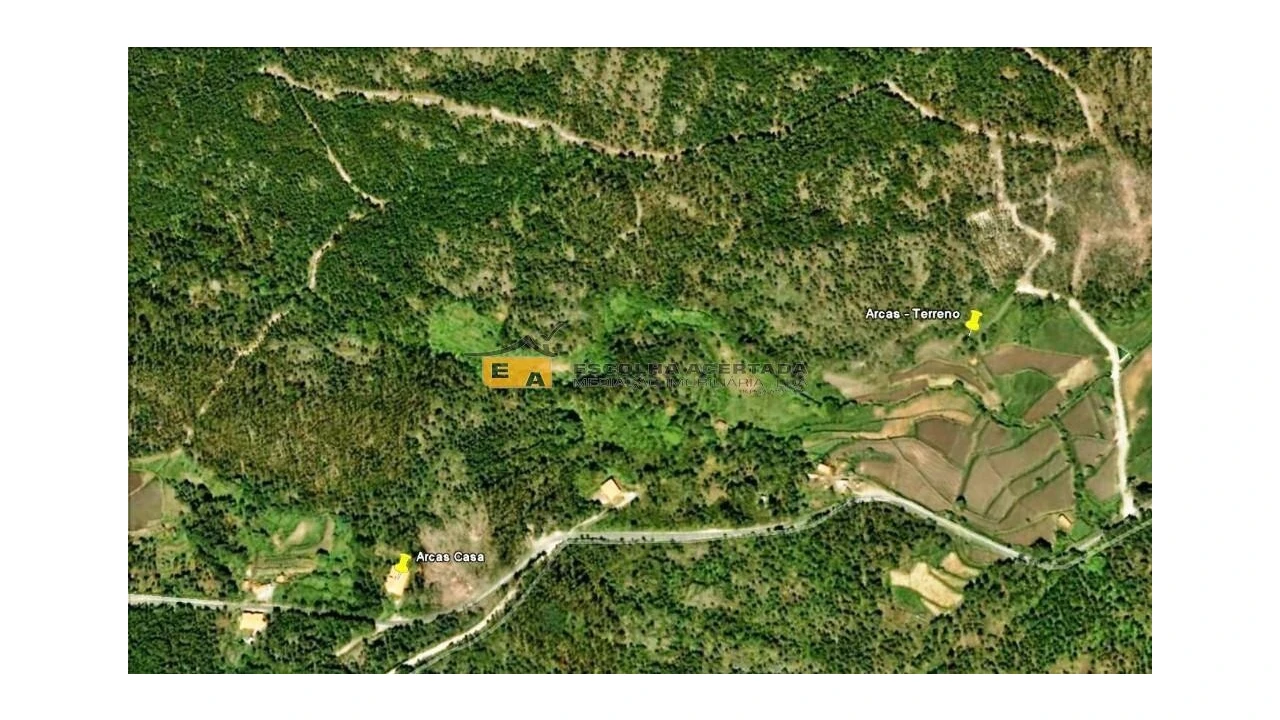 Quinta T4 para Venda em Talhadas Foto 15