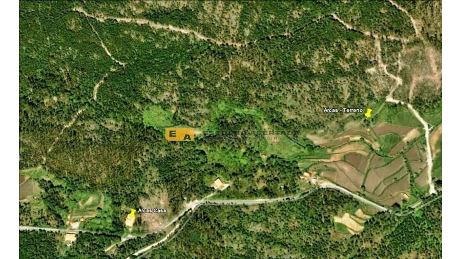 Quinta T4 para Venda em Talhadas Foto 15