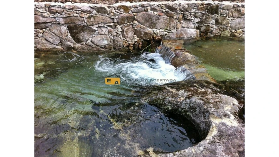 Quinta T4 para Venda em Talhadas Foto 12