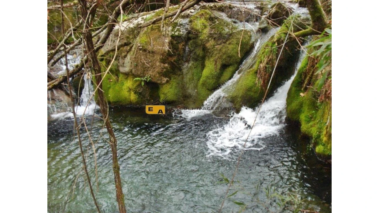 Quinta T4 para Venda em Talhadas Foto 13