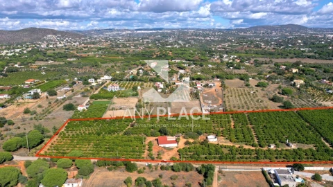 Terreno para Venda em Quarteira