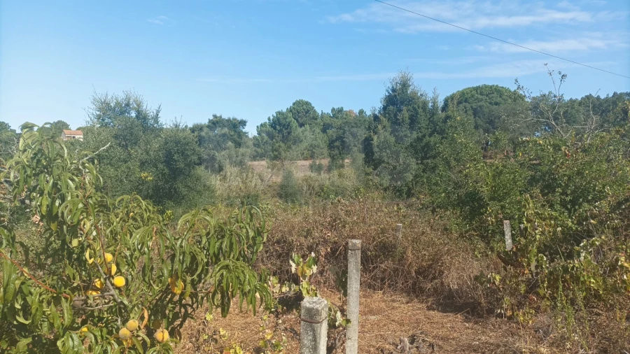 Terreno para Venda em Pontevel Foto 4
