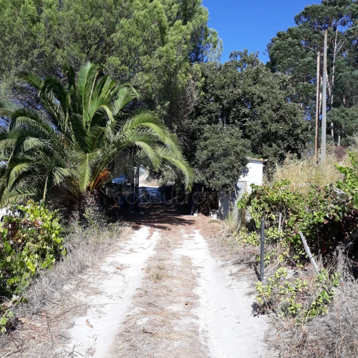 Terreno para Venda em Pontevel Foto 8