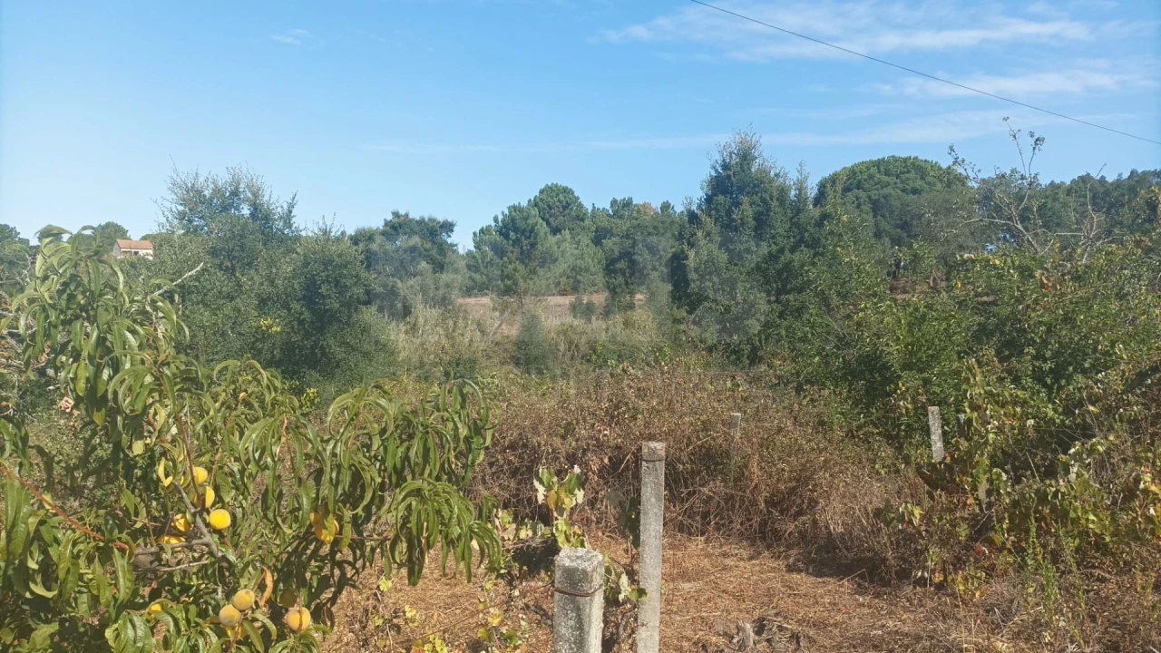 Terreno para Venda em Pontevel Foto 1