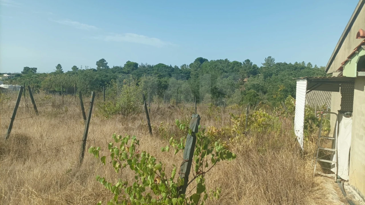 Terreno para Venda em Pontevel Foto 7