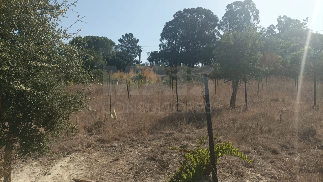 Terreno para Venda em Pontevel Foto 4