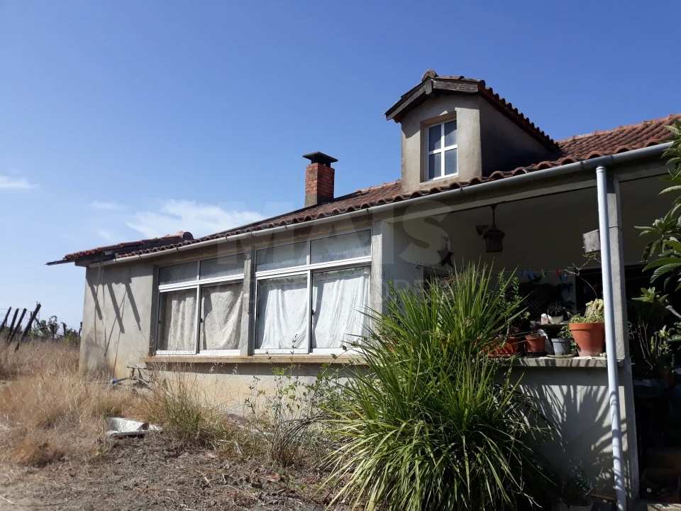 Terreno para Venda em Pontevel Foto 11