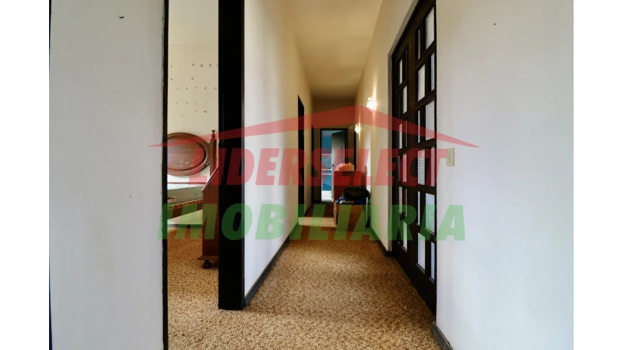 Moradia T3 para Venda em Ribafria e Pereiro de Palhacana Foto 8