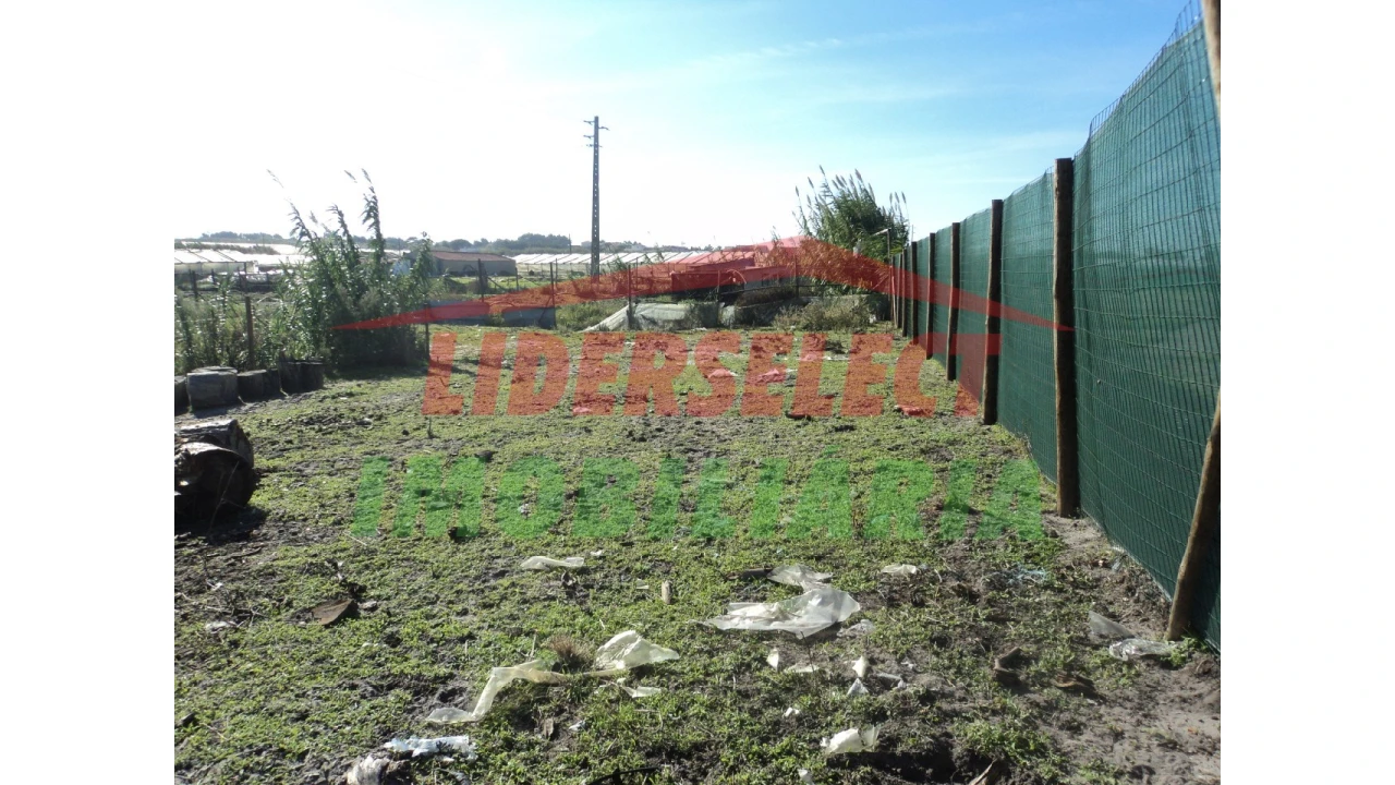 Terreno Agricola ou Rústico para Venda em Silveira Foto 1