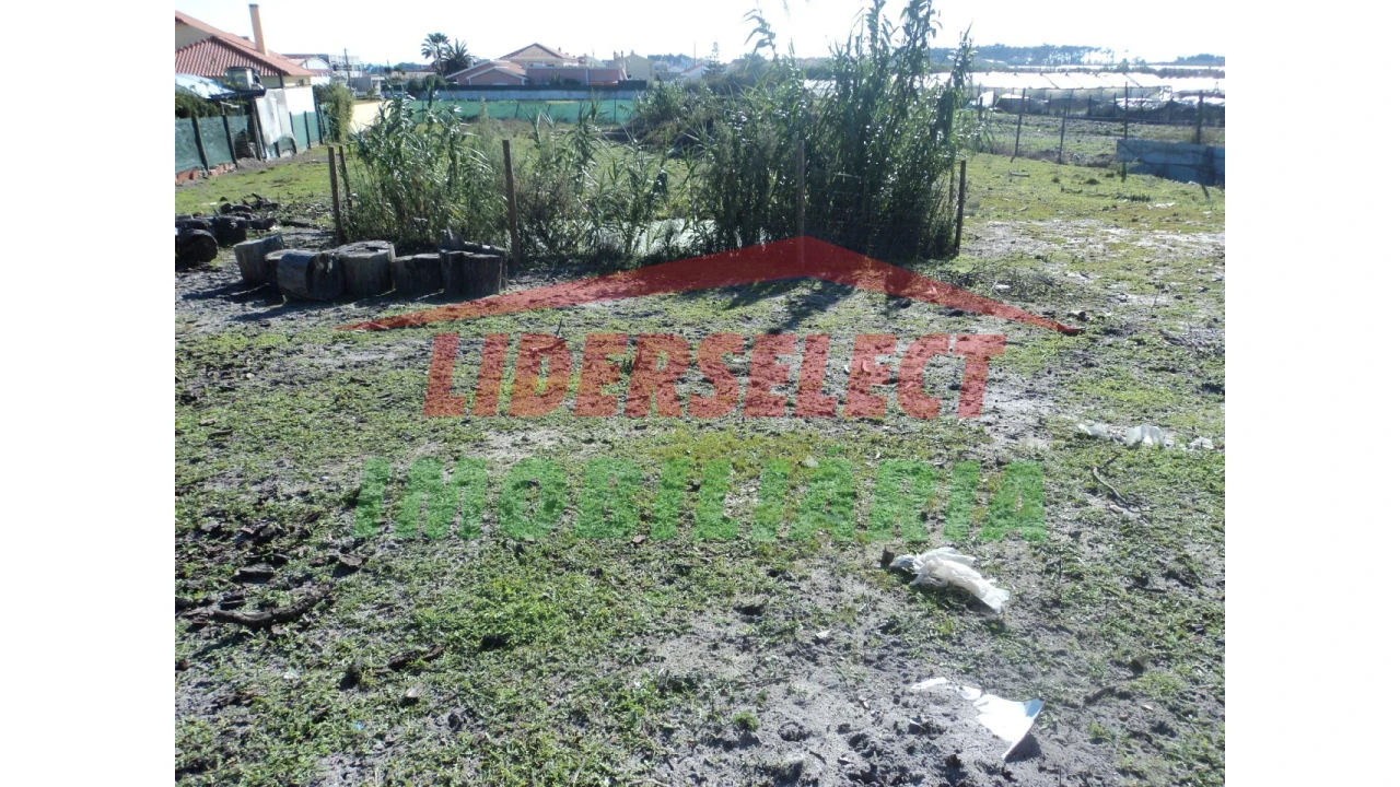 Terreno Agricola ou Rústico para Venda em Silveira Foto 3