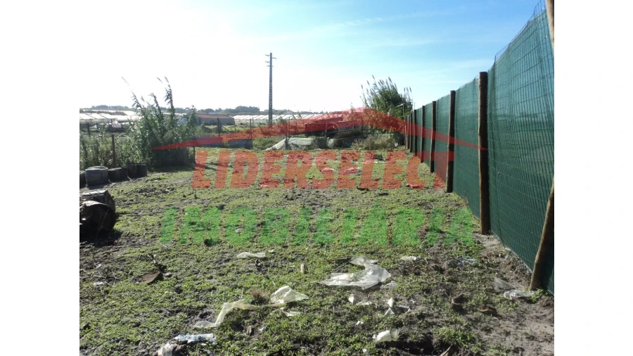 Terreno Agricola ou Rústico para Venda em Silveira Foto 1