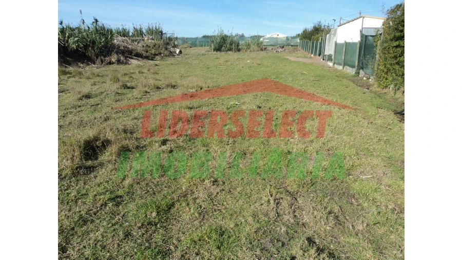 Terreno Agricola ou Rústico para Venda em Silveira Foto 2