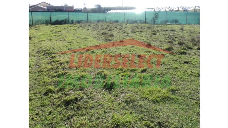 Terreno Agricola ou Rústico para Venda em Silveira Foto 5