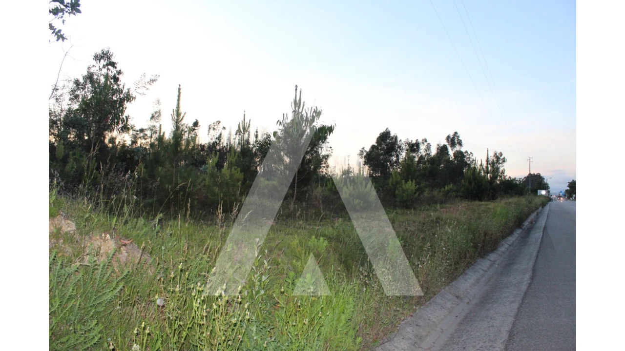 Terreno para Venda em Macinhata do Vouga Foto 4