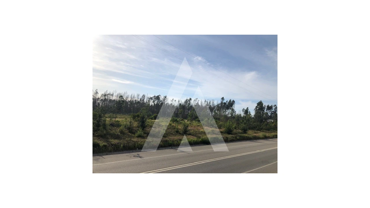 Terreno para Venda em Macinhata do Vouga Foto 3