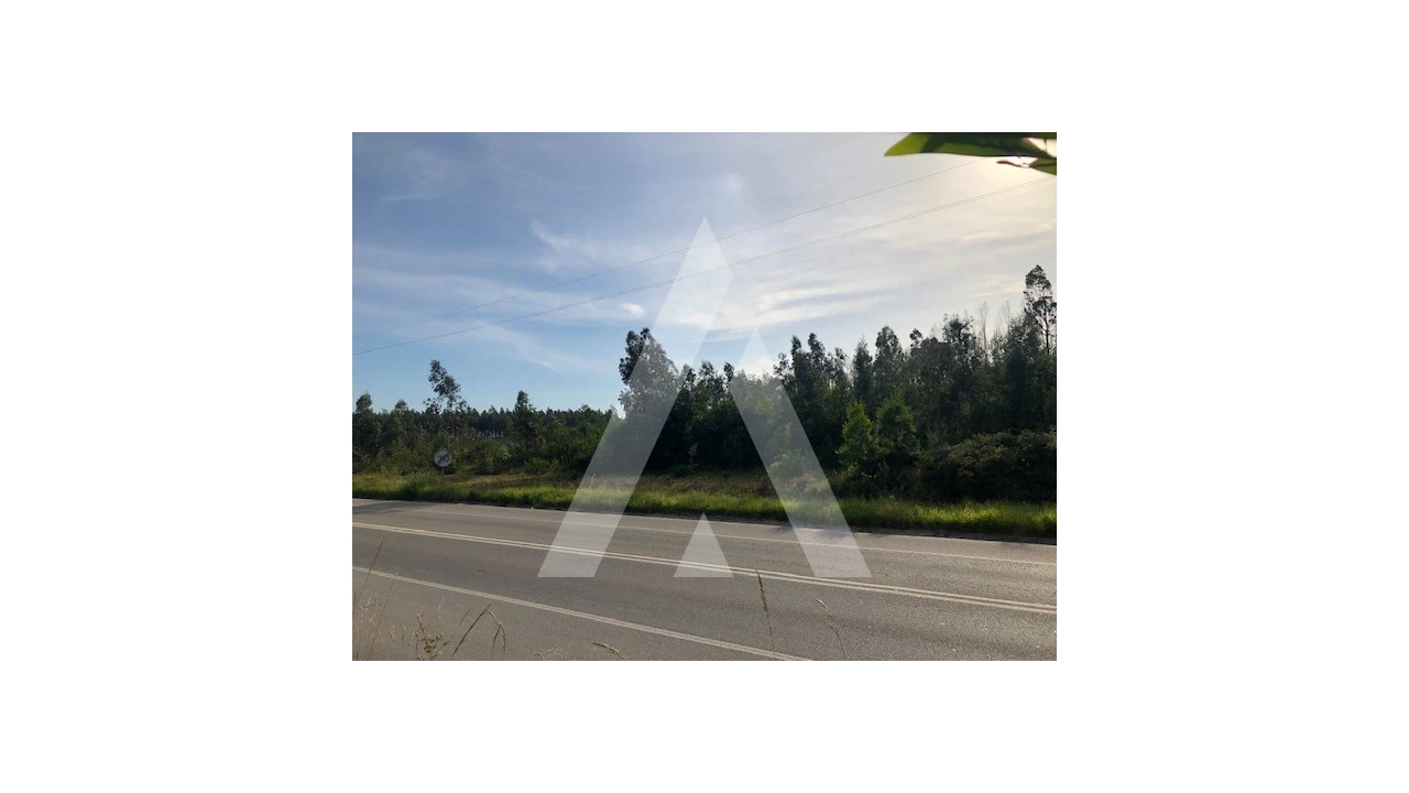 Terreno para Venda em Macinhata do Vouga Foto 1