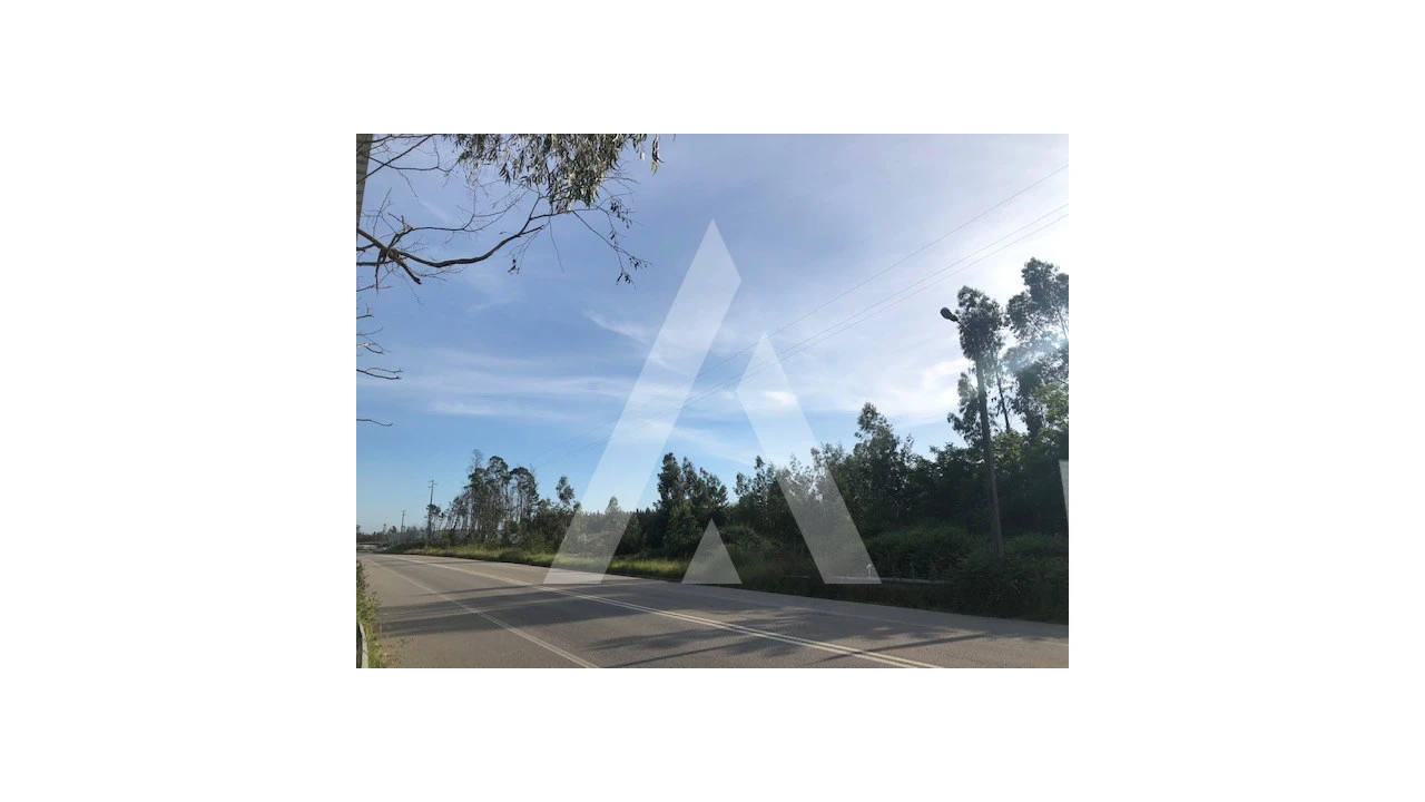 Terreno para Venda em Macinhata do Vouga Foto 5