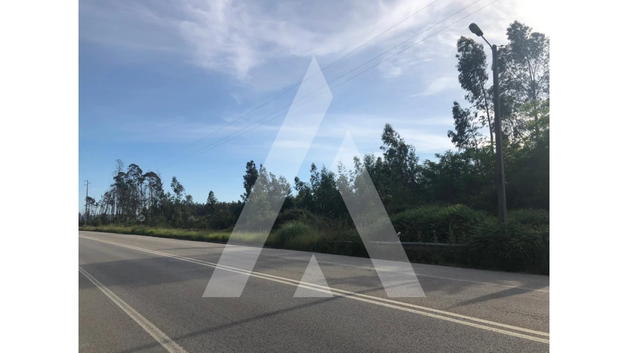 Terreno para Venda em Macinhata do Vouga Foto 8