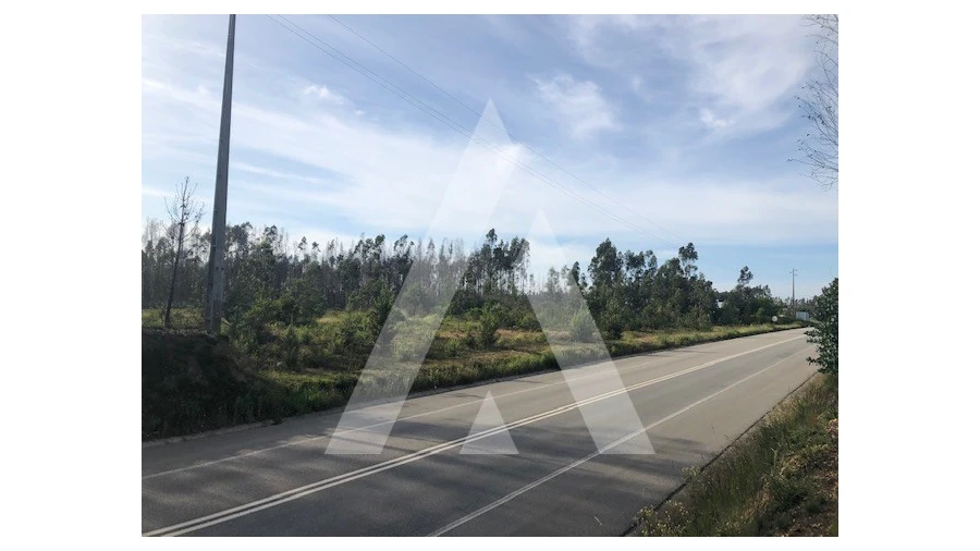 Terreno para Venda em Macinhata do Vouga Foto 2