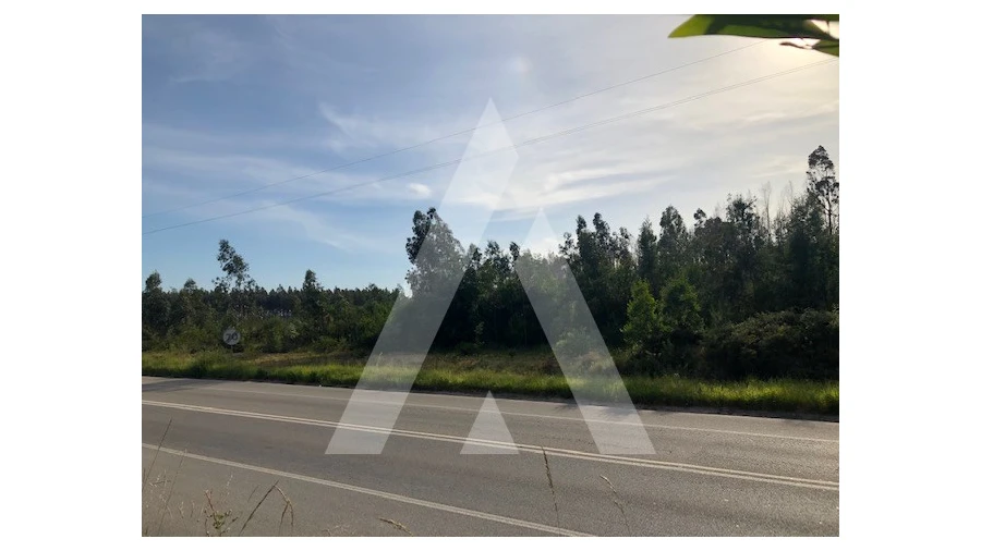 Terreno para Venda em Macinhata do Vouga