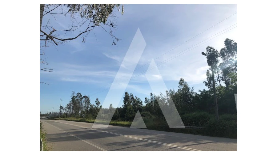 Terreno para Venda em Macinhata do Vouga Foto 5