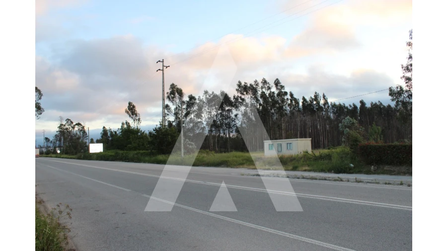 Terreno para Venda em Macinhata do Vouga Foto 6