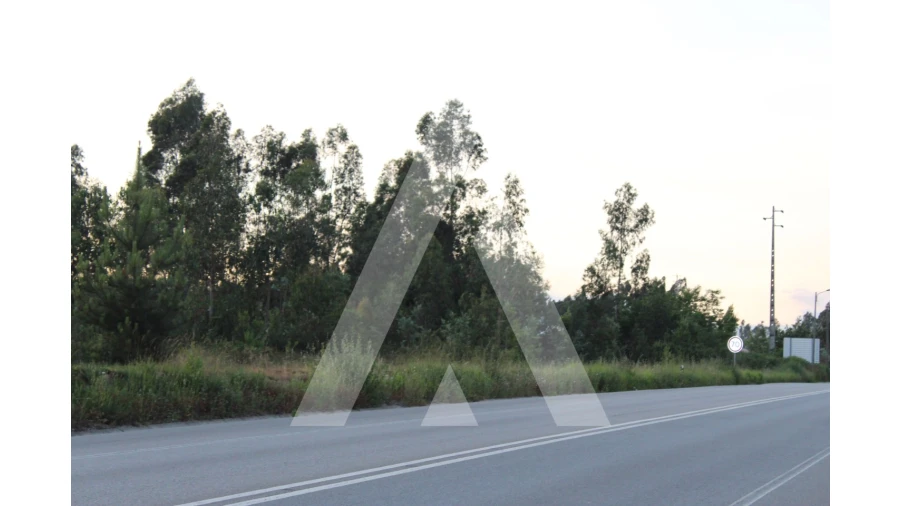 Terreno para Venda em Macinhata do Vouga Foto 7