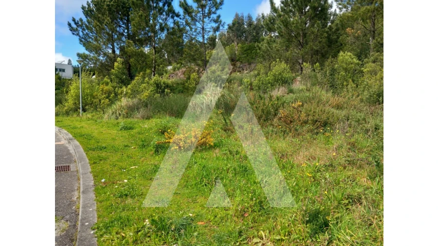 Terreno para Venda em Mozelos Foto 6