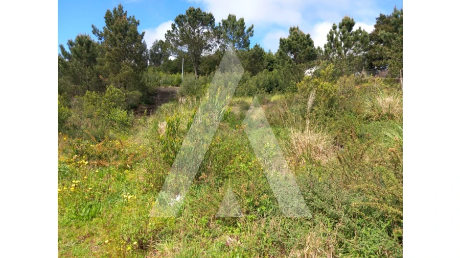 Terreno para Venda em Mozelos Foto 7