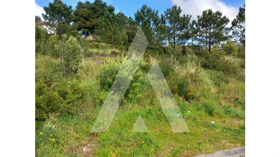 Terreno para Venda em Mozelos Foto 9